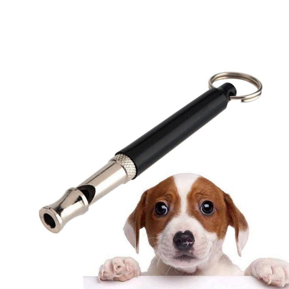 Dog Training Whistle - Companion Pet Supply