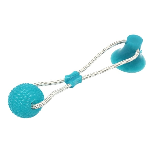 Pet Interactive Suction Cup  Elastic Rope - Companion Pet Supply