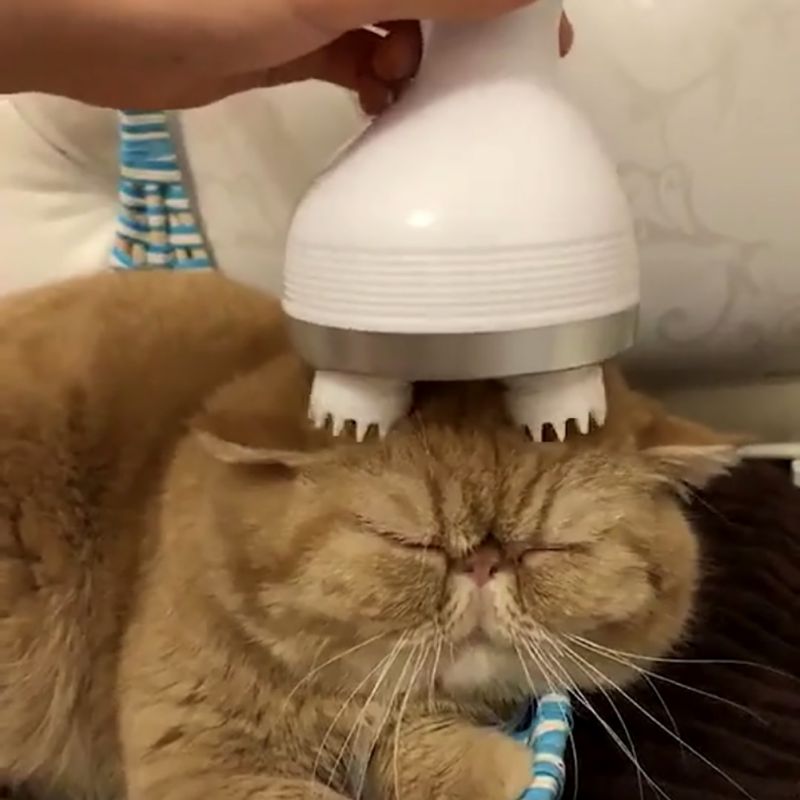 Intelligent Pet Massager - Companion Pet Supply