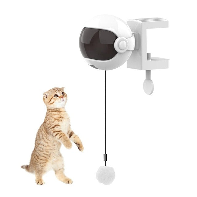 Automatic Cat Teaser Ball - Companion Pet Supply