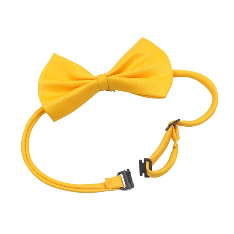 Pet Bow Tie Dog Collar - Companion Pet Supply