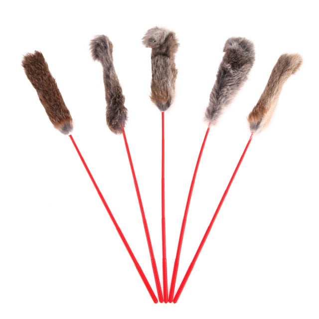 5pcs Funny Wire Stick Pet Teaser - Companion Pet Supply