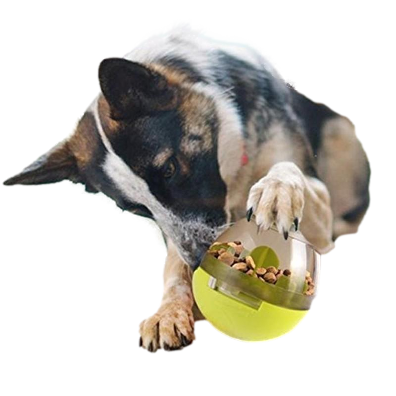 Interactive IQ Treat Toy - Companion Pet Supply