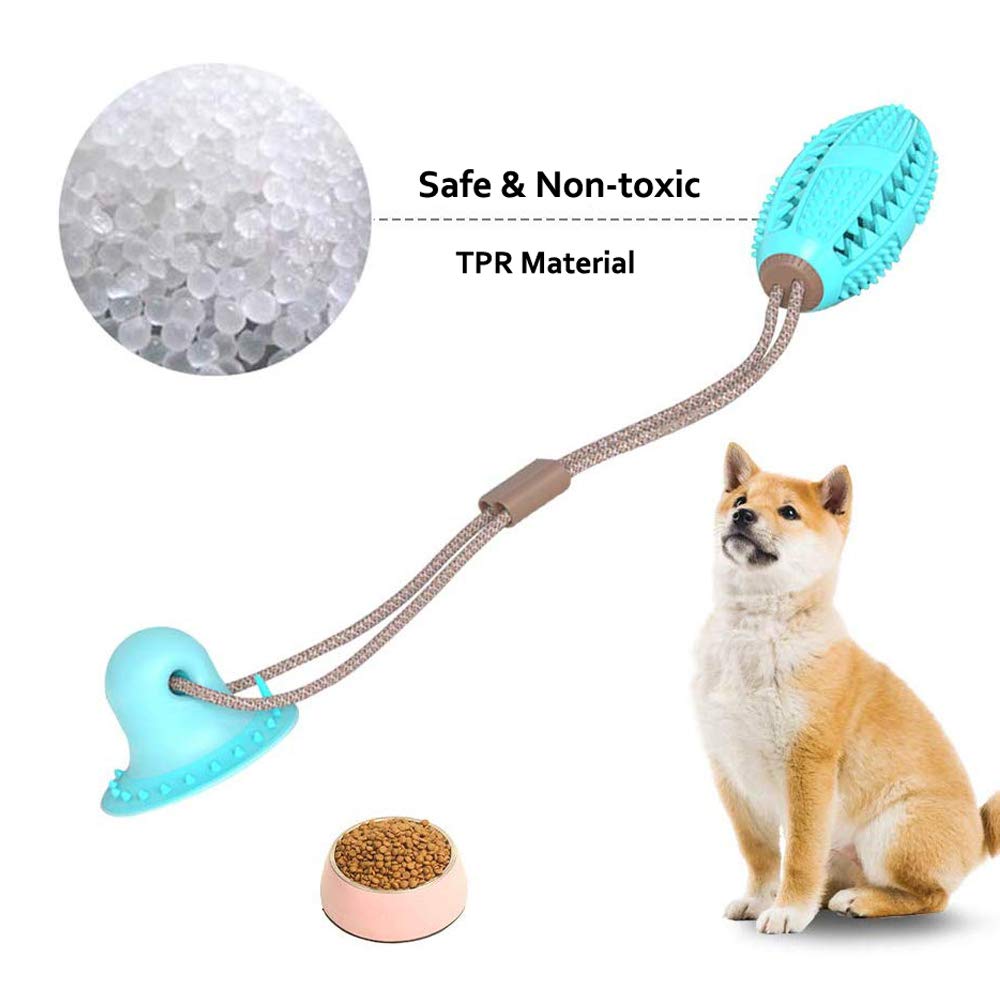 Dog Tugging Suction Cup Toy - Companion Pet Supply