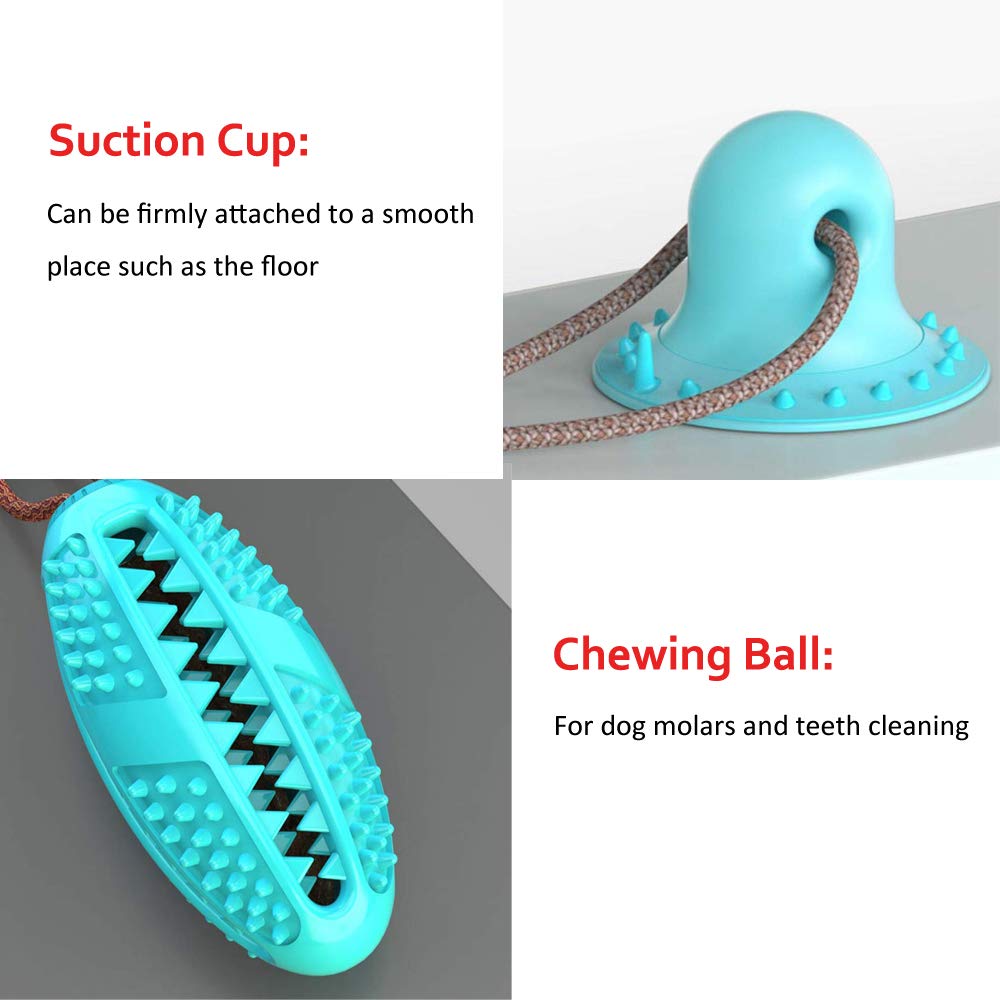 Dog Tugging Suction Cup Toy - Companion Pet Supply