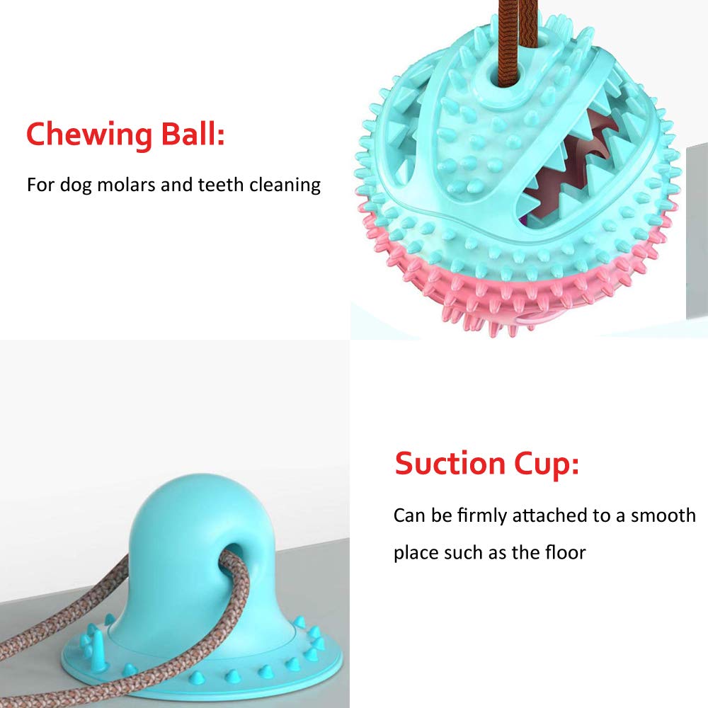 Dog Tugging Suction Cup Toy - Companion Pet Supply