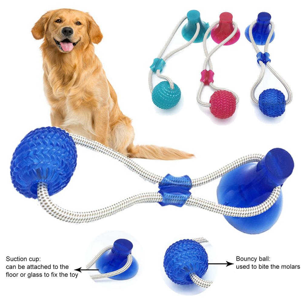 Pet Interactive Suction Cup  Elastic Rope - Companion Pet Supply