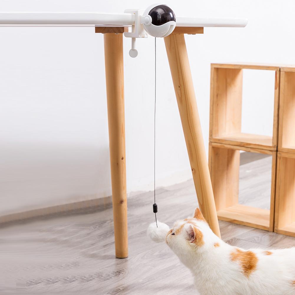 Automatic Cat Teaser Ball - Companion Pet Supply