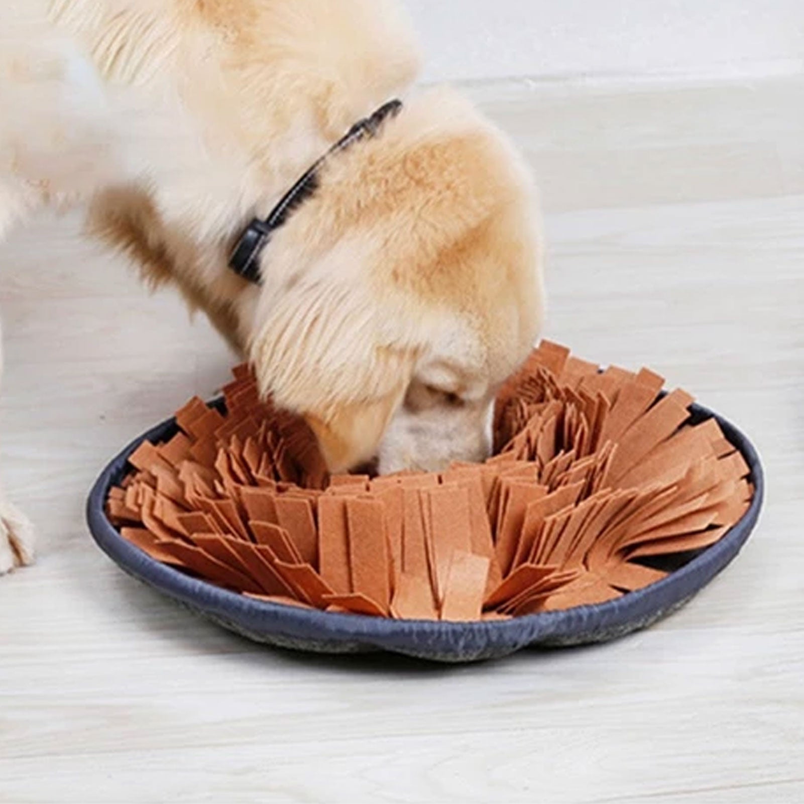 Dog Sniffing Mat Puzzle Toy - Companion Pet Supply