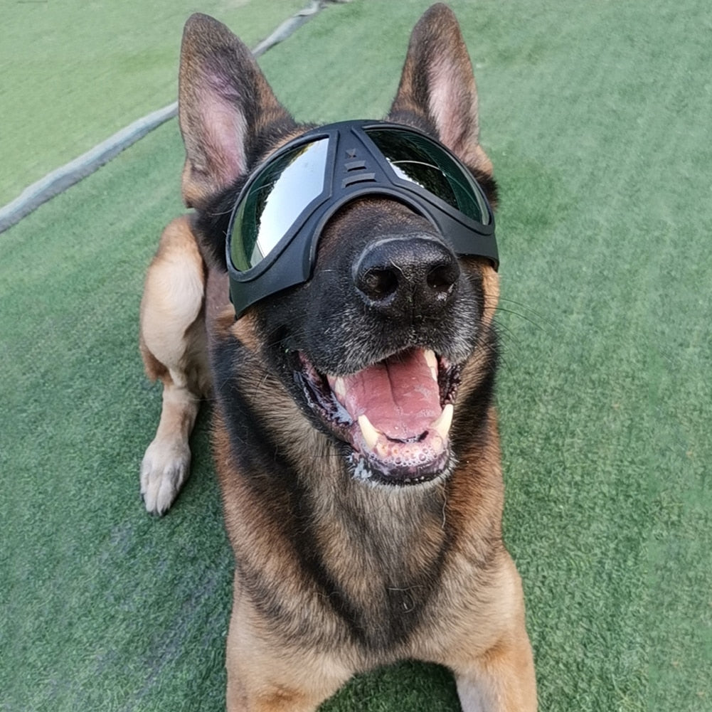 Waterproof and Snow-proof Dog Protective Glasses - Companion Pet Supply