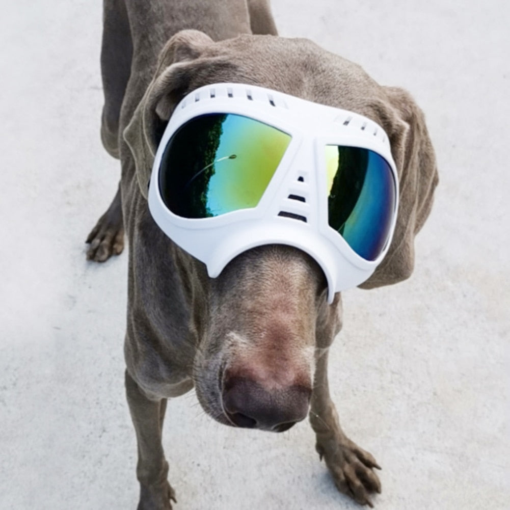 Waterproof and Snow-proof Dog Protective Glasses - Companion Pet Supply