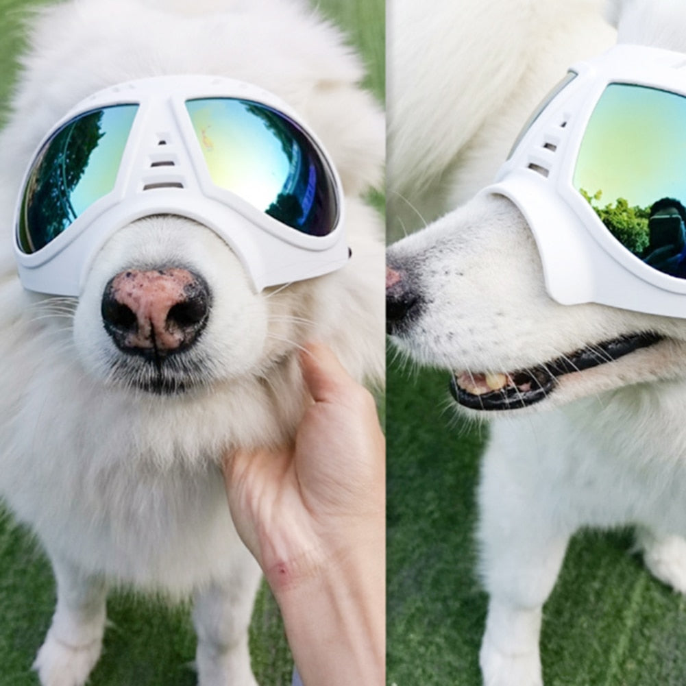 Waterproof and Snow-proof Dog Protective Glasses - Companion Pet Supply