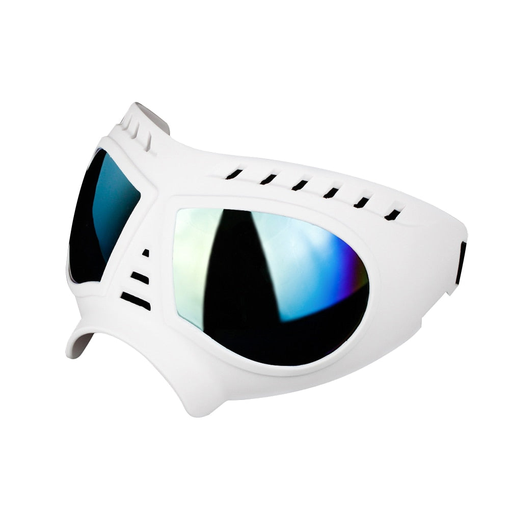 Waterproof and Snow-proof Dog Protective Glasses - Companion Pet Supply