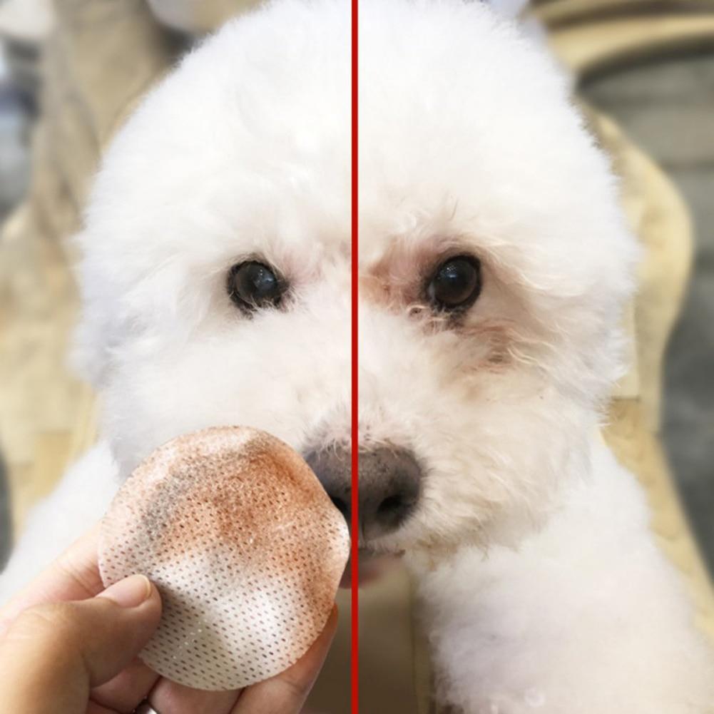 100PCS Pet Dog Facial Cleaning Pads - Companion Pet Supply