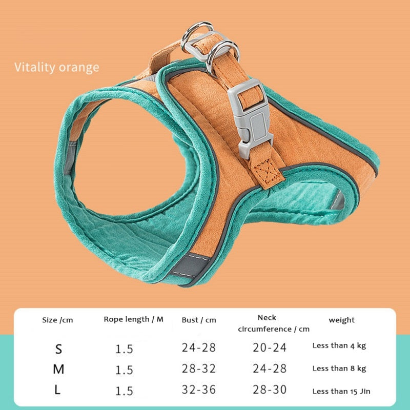 Cat Harness Leash Set - Companion Pet Supply