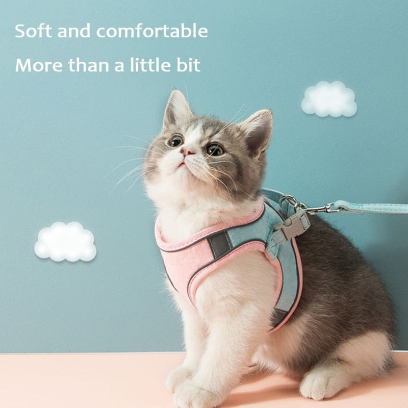 Cat Harness Leash Set - Companion Pet Supply