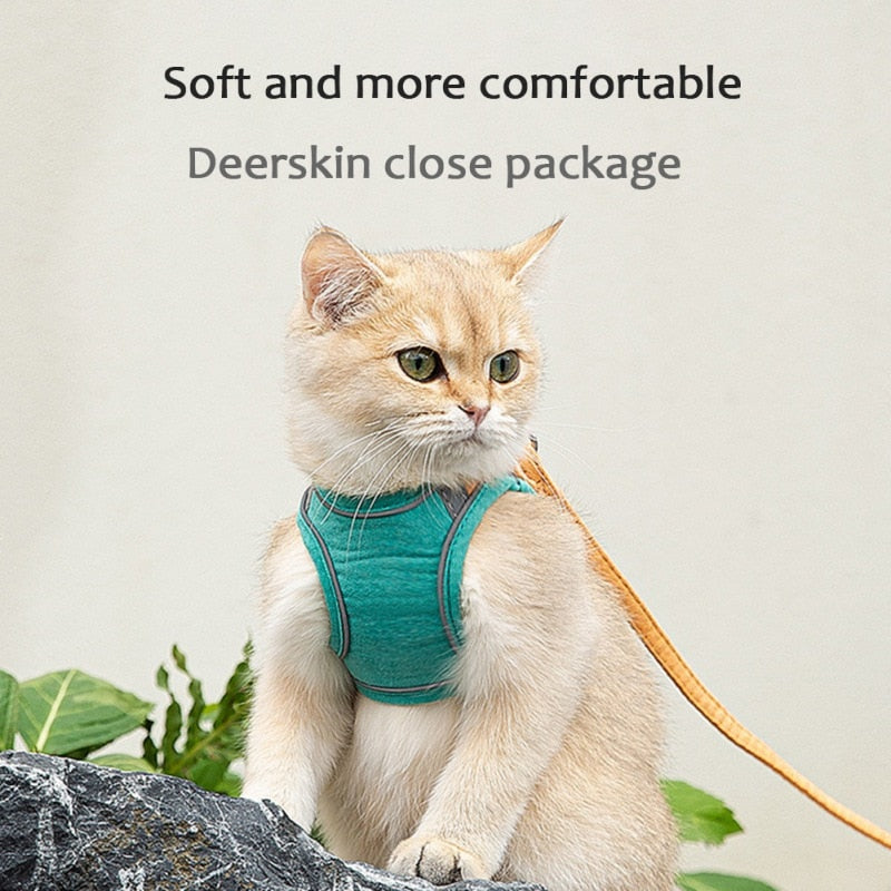 Cat Harness Leash Set - Companion Pet Supply