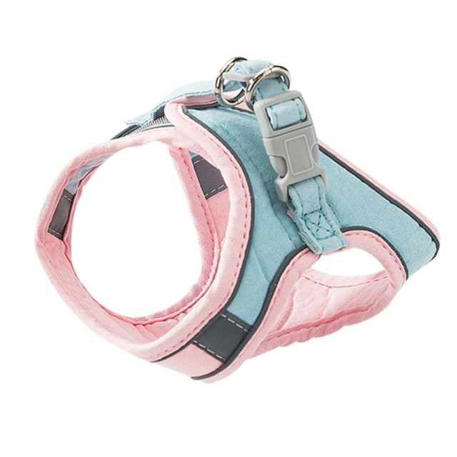 Cat Harness Leash Set - Companion Pet Supply