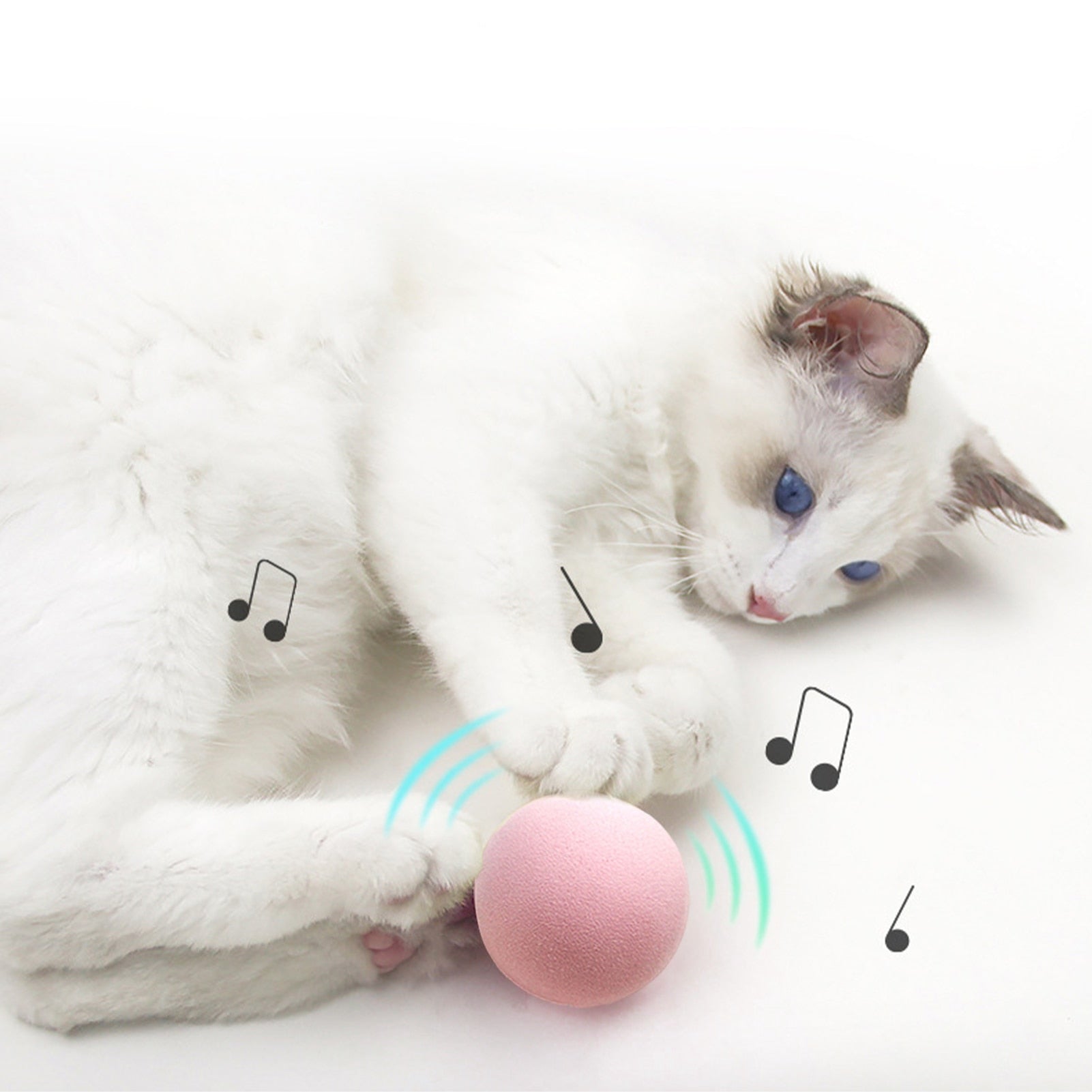 Interactive Catnip Cat Ball - Companion Pet Supply
