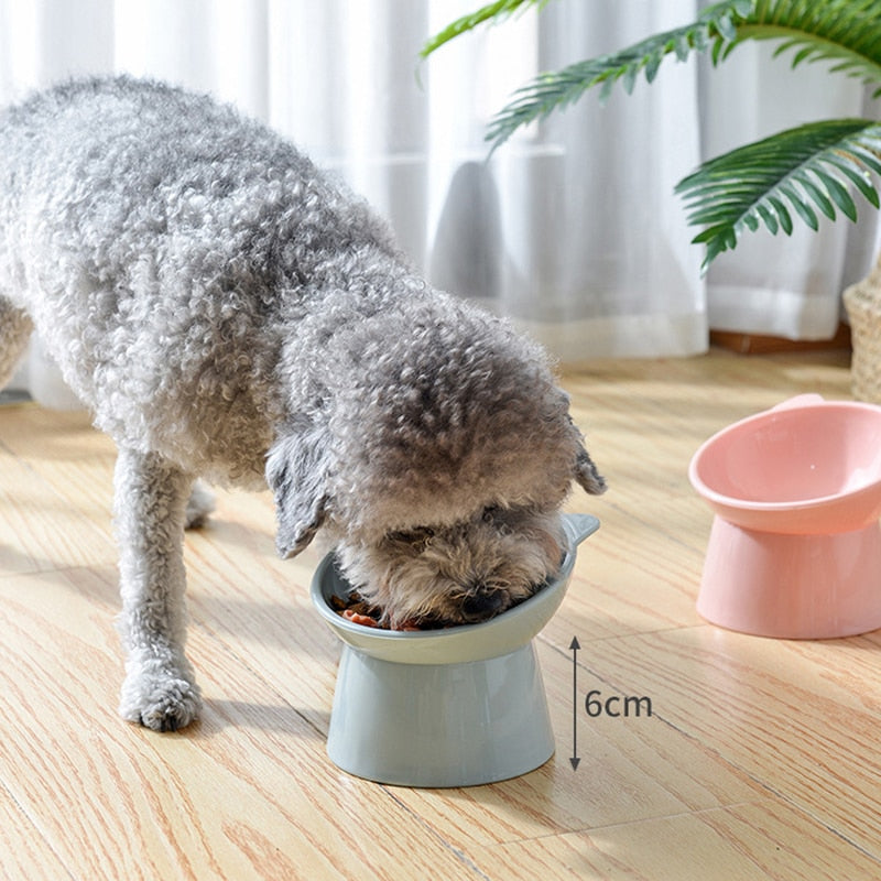 Non-slip Raised Pet Bowls - Companion Pet Supply