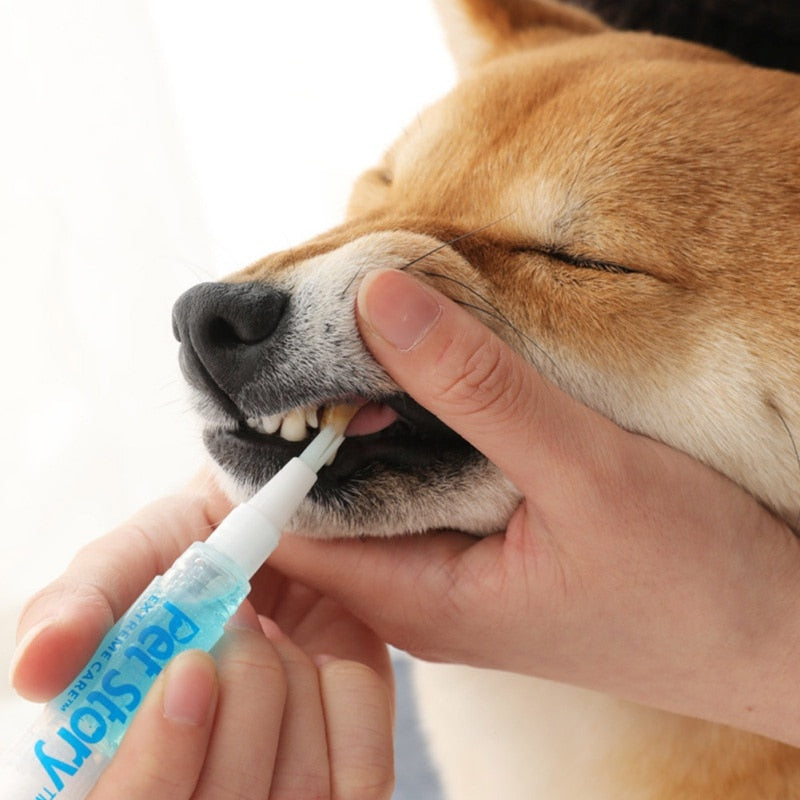 5ml Dog Teeth Cleaning Pen - Companion Pet Supply