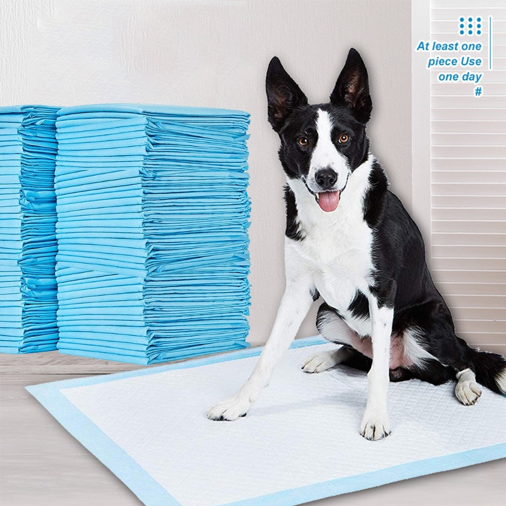 Super Absorbent Pet Training Pee Pads - Companion Pet Supply