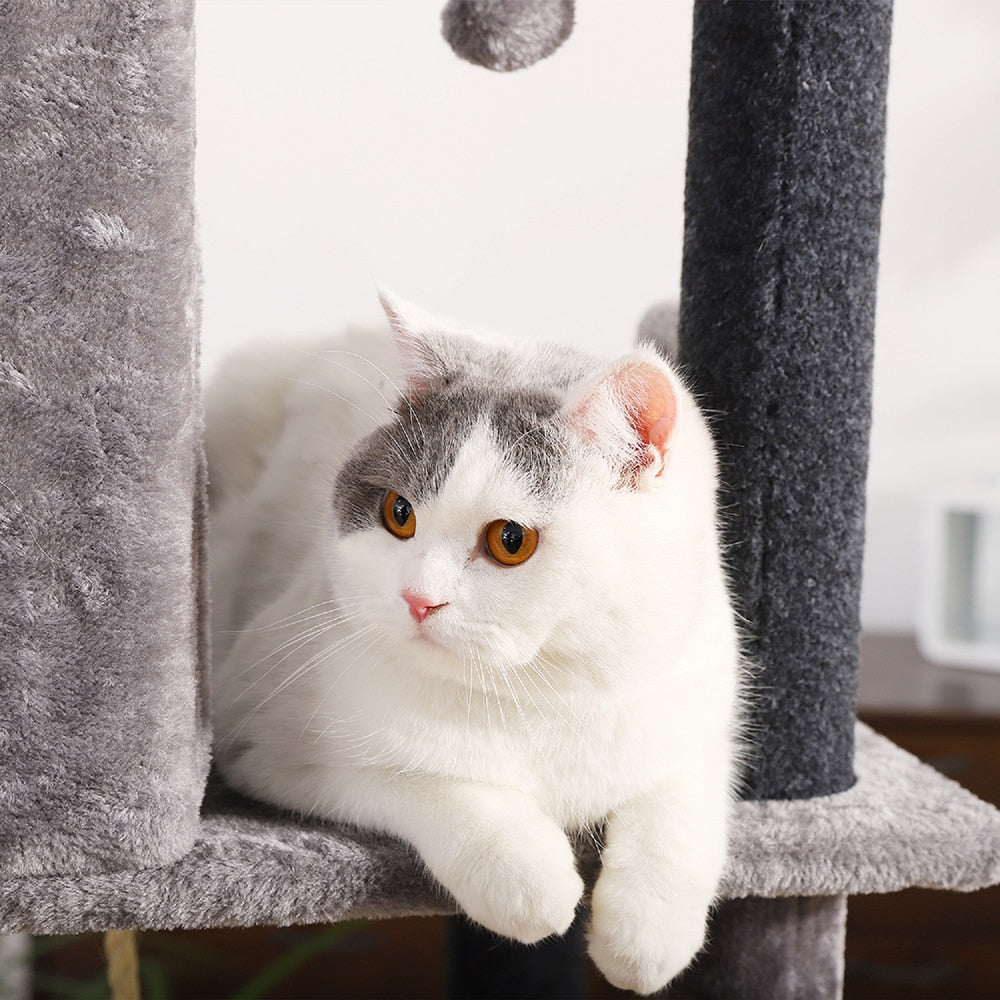 Cat Tree Condo Tower - Companion Pet Supply