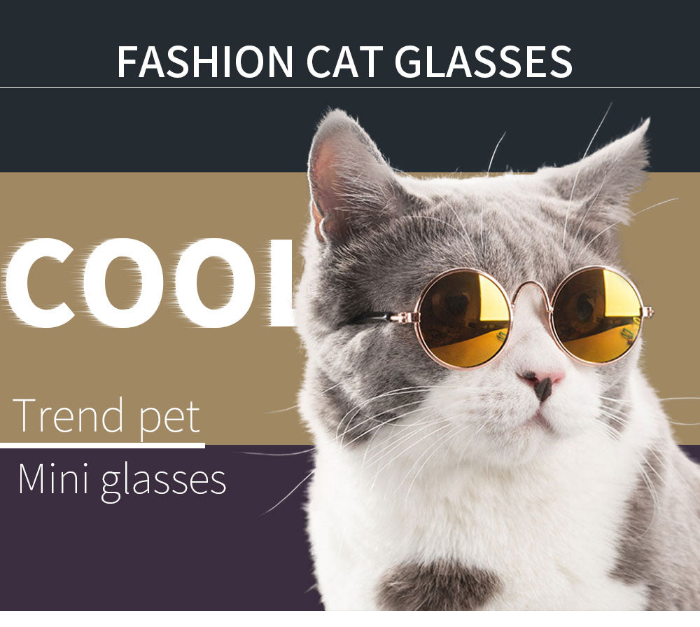 Round Pet Glasses Eyewear - Companion Pet Supply
