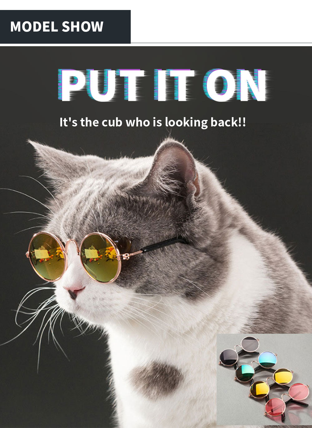 Round Pet Glasses Eyewear - Companion Pet Supply