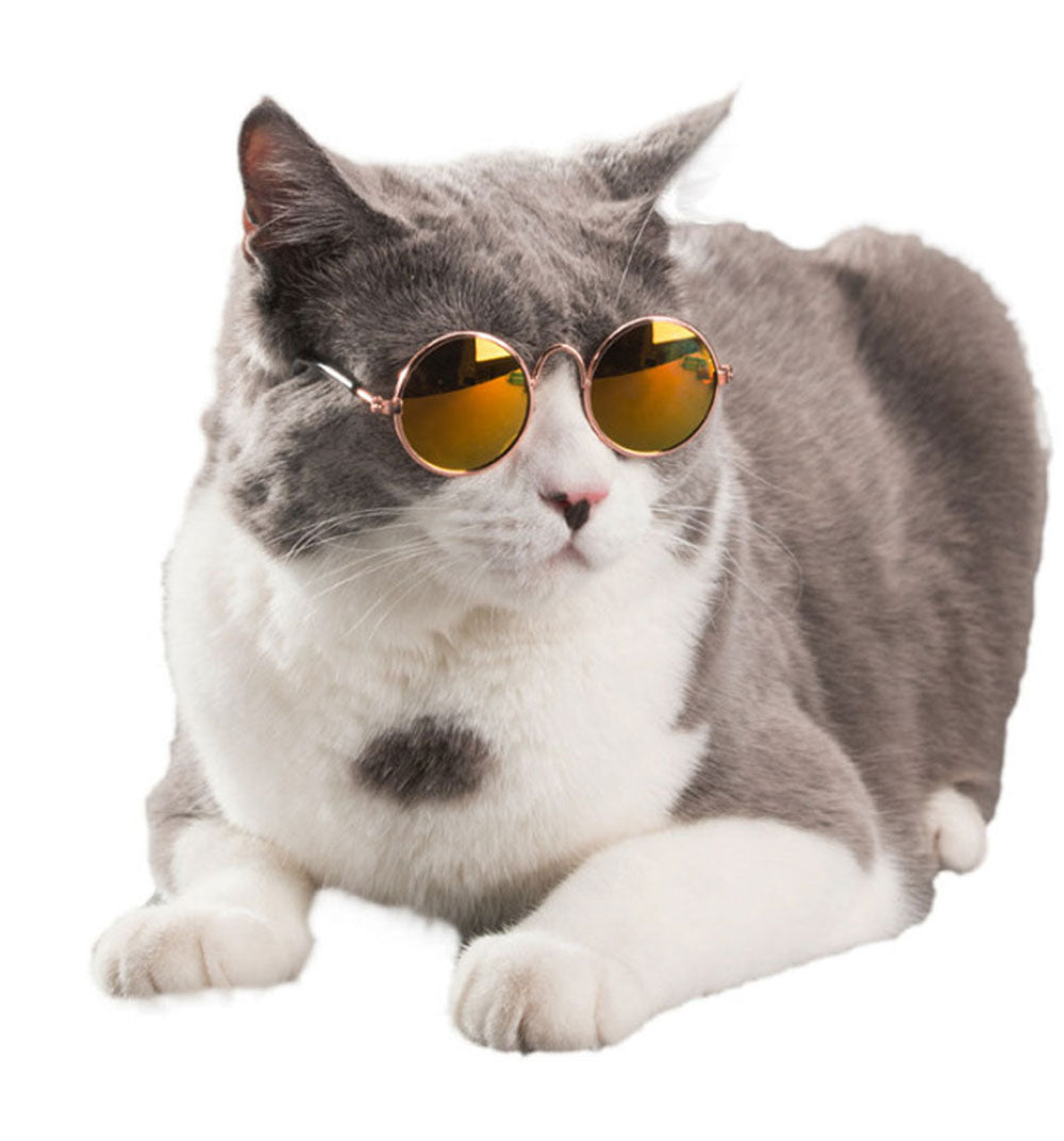 Round Pet Glasses Eyewear - Companion Pet Supply
