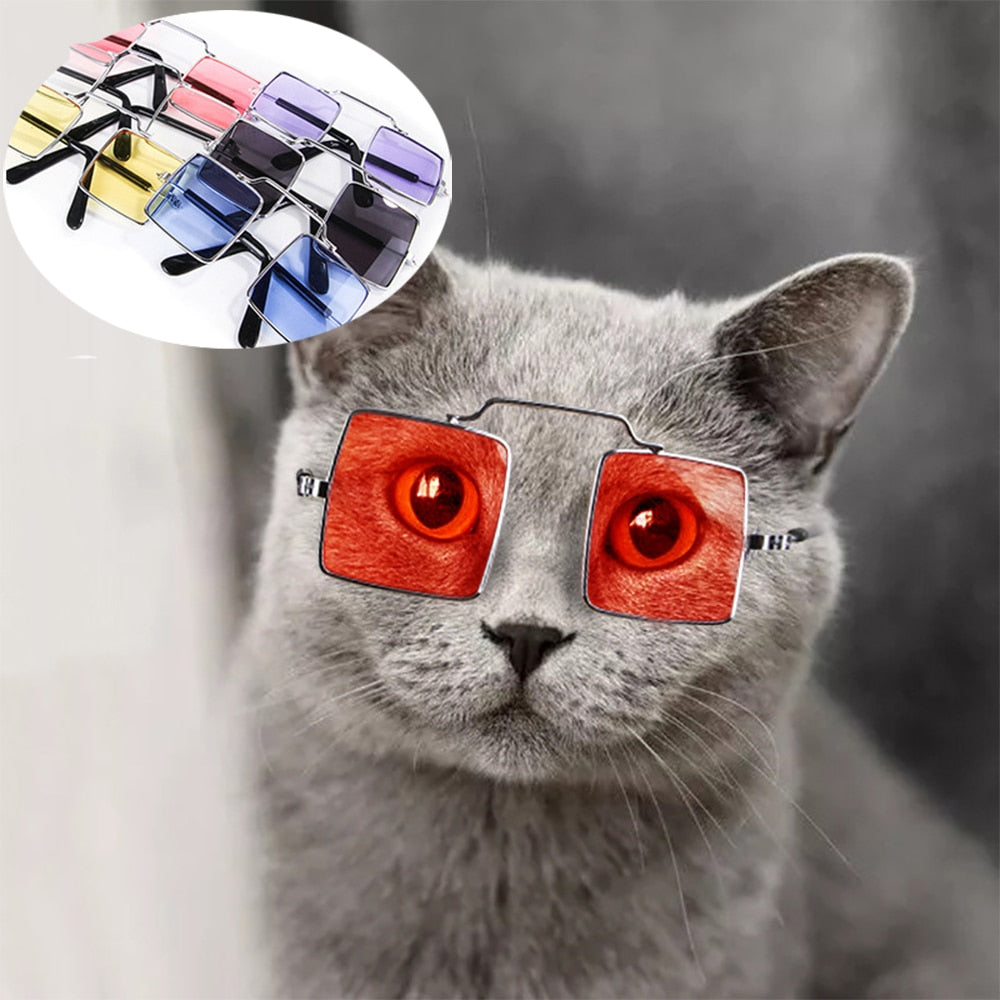 Cute Pet Sunglasses Eye-wear - Companion Pet Supply