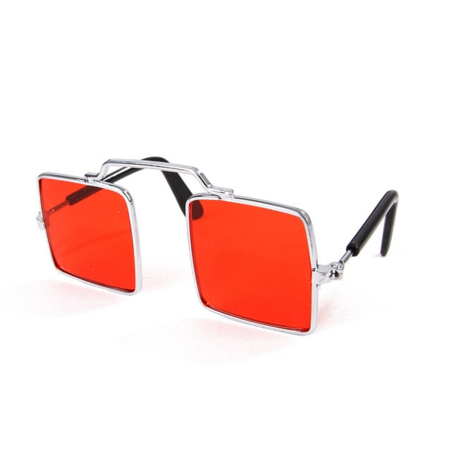 Cute Pet Sunglasses Eye-wear - Companion Pet Supply
