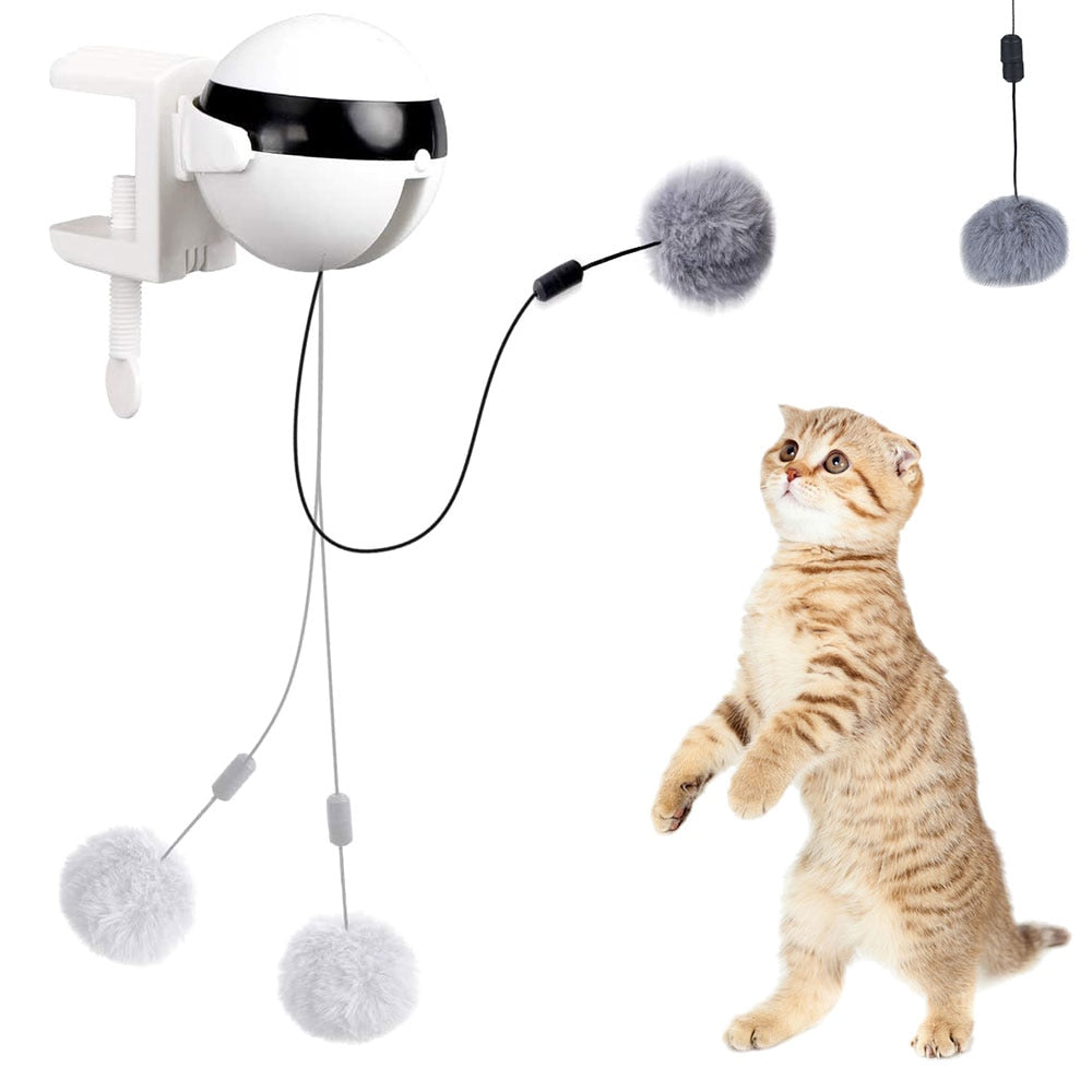 Automatic Ball Lifting Cat Toy - Companion Pet Supply