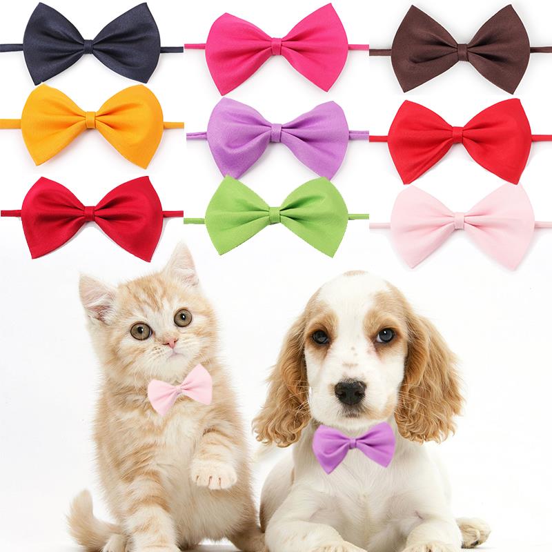 Pet Bow Tie Dog Collar - Companion Pet Supply
