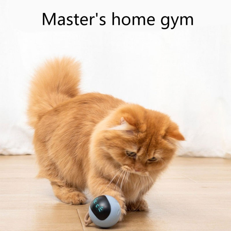 Smart Jumping Ball Pet Toy Roller - Companion Pet Supply