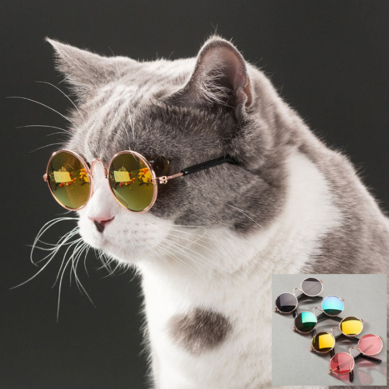 Round Pet Glasses Eyewear - Companion Pet Supply