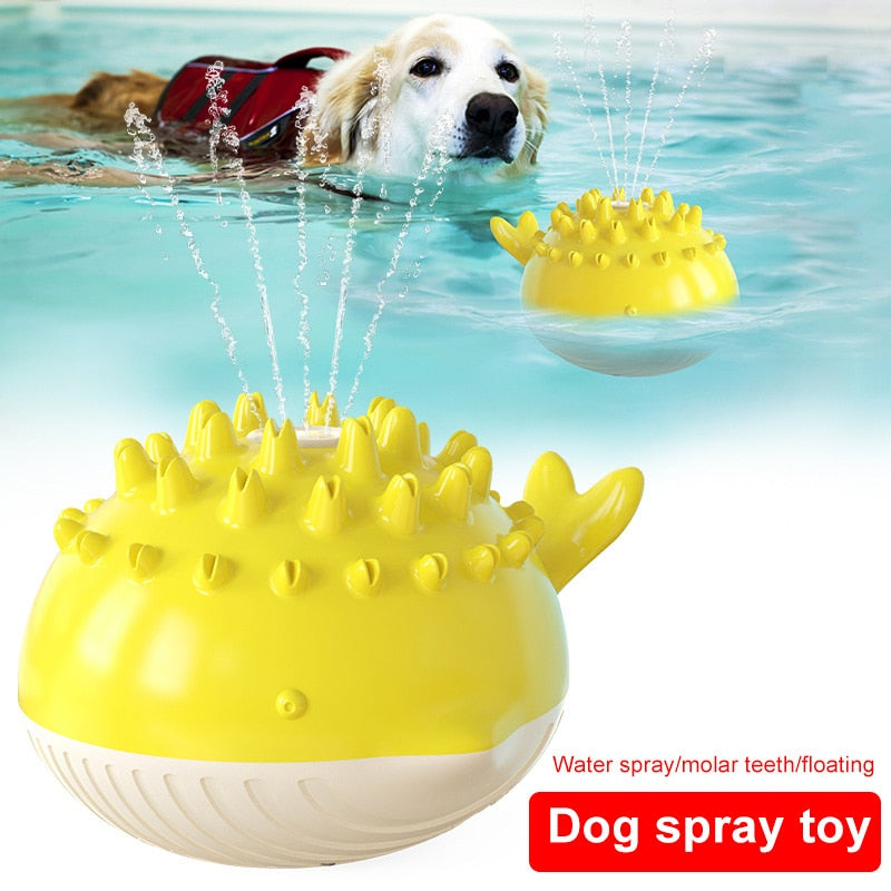 Electric Summer Water Floating Dog Toy