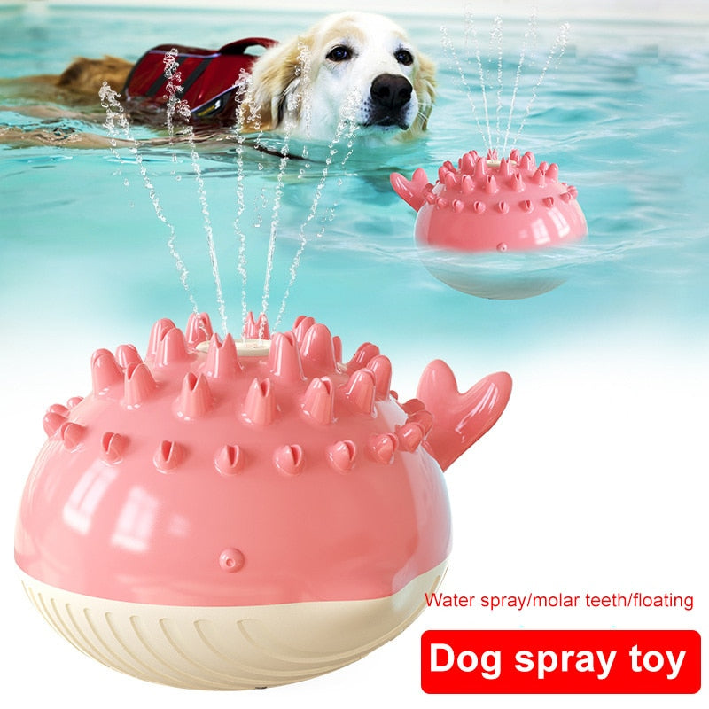 Electric Summer Water Floating Dog Toy