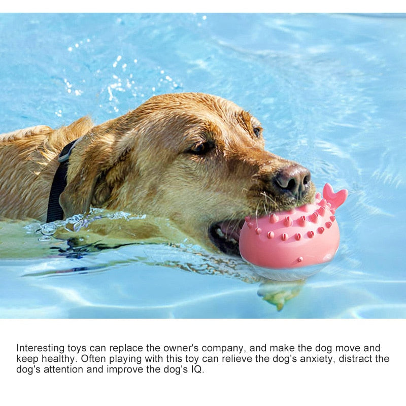 Electric Summer Water Floating Dog Toy