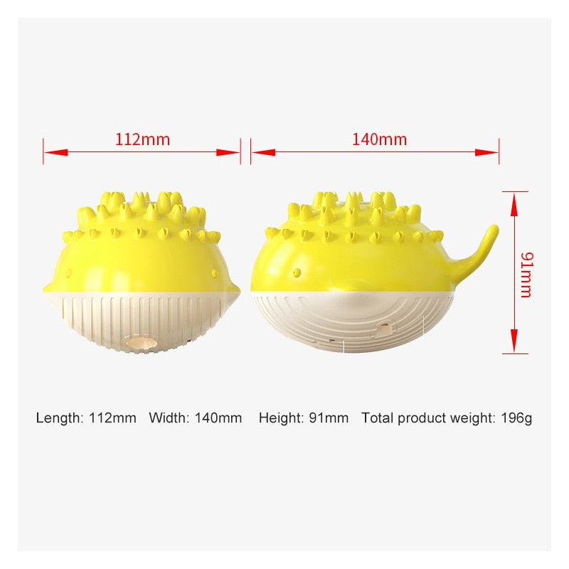 Electric Summer Water Floating Dog Toy