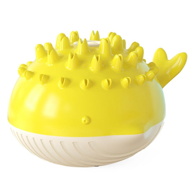 Electric Summer Water Floating Dog Toy