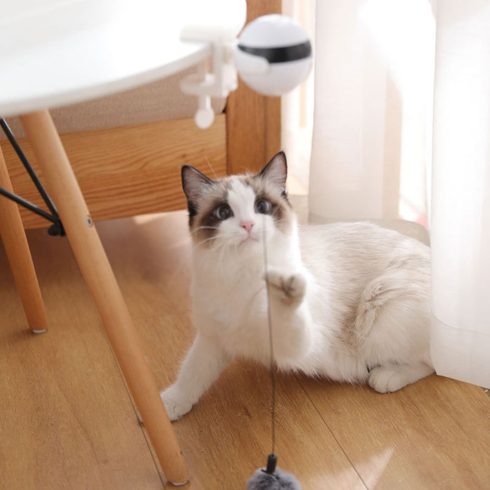 Automatic Ball Lifting Cat Toy - Companion Pet Supply