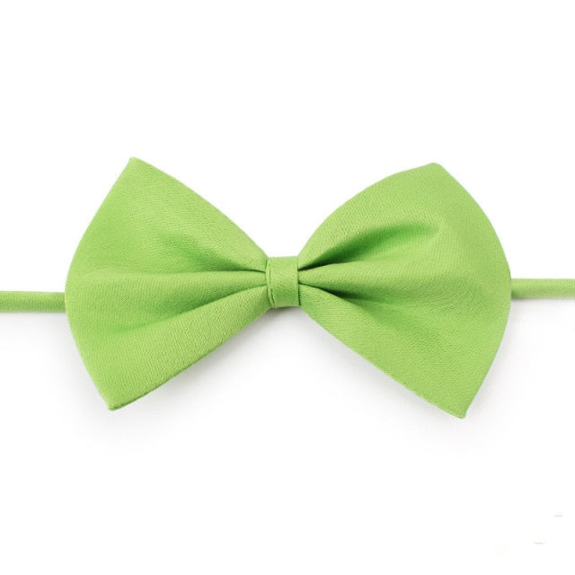 Pet Bow Tie Dog Collar - Companion Pet Supply