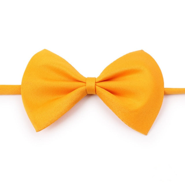 Pet Bow Tie Dog Collar - Companion Pet Supply