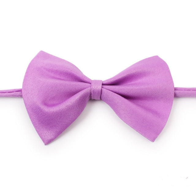 Pet Bow Tie Dog Collar - Companion Pet Supply