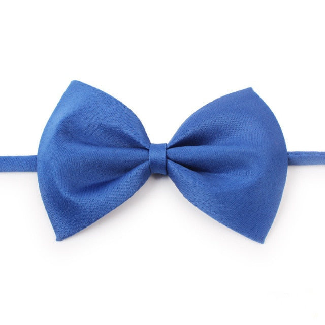 Pet Bow Tie Dog Collar - Companion Pet Supply