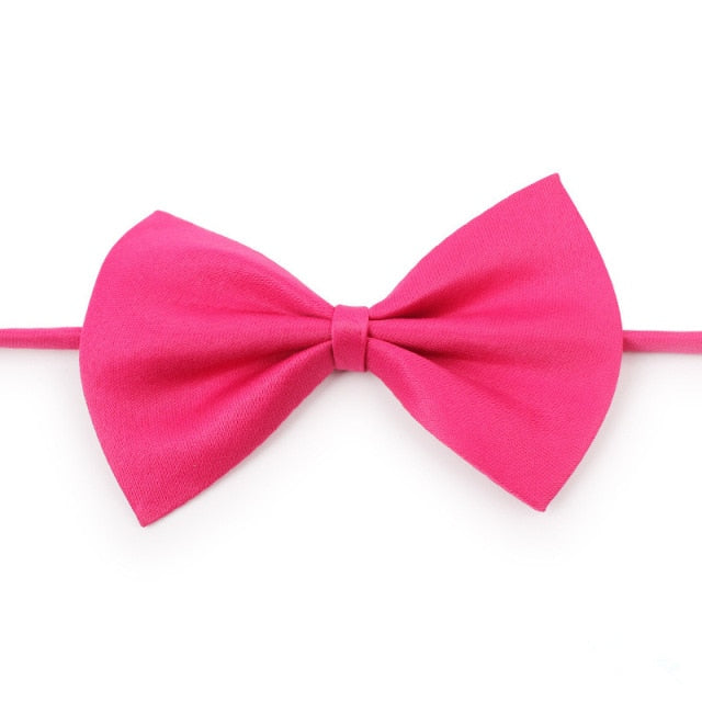 Pet Bow Tie Dog Collar - Companion Pet Supply